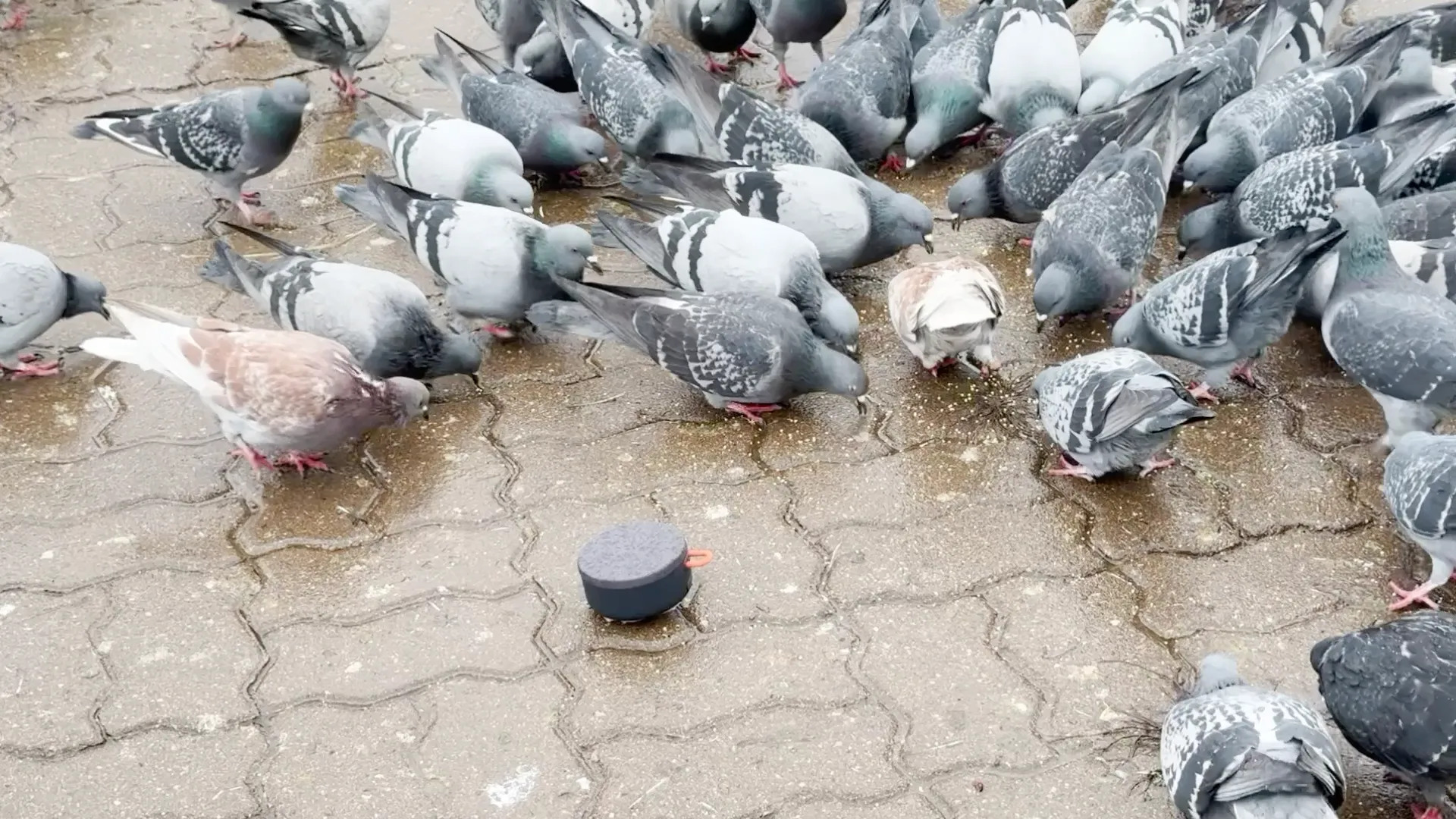 Filming in Aprelevka, 2025